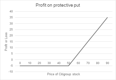 Protective Put Profit Chart
